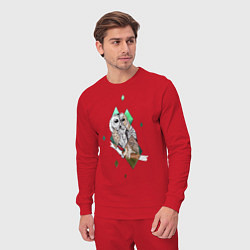 Костюм хлопковый мужской Owl rhombus, цвет: красный — фото 2