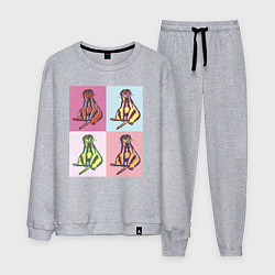 Костюм хлопковый мужской Сурикат поп-арт, цвет: меланж