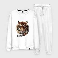 Мужской костюм Тигр 2022 символ