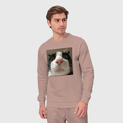 Костюм хлопковый мужской Задумчивый кот, цвет: пыльно-розовый — фото 2