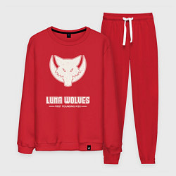 Костюм хлопковый мужской Лунные волки лого винтаж, цвет: красный