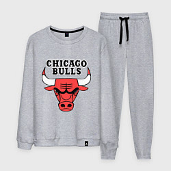 Костюм хлопковый мужской Chicago Bulls, цвет: меланж