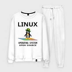 Костюм хлопковый мужской Пингвин линукс, цвет: белый