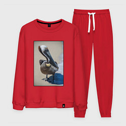Костюм хлопковый мужской Пеликан у моря, цвет: красный