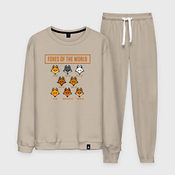 Костюм хлопковый мужской Все Лисы мира, цвет: миндальный