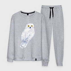 Костюм хлопковый мужской Белая полярная сова, цвет: меланж