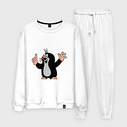 Мужской костюм Чешский крот