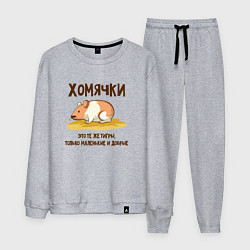 Костюм хлопковый мужской Хомячок это тигр, цвет: меланж