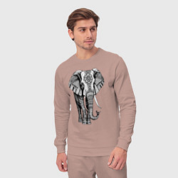 Костюм хлопковый мужской Нарисованный слон, цвет: пыльно-розовый — фото 2