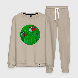 Мужской костюм Два зелёных попугая