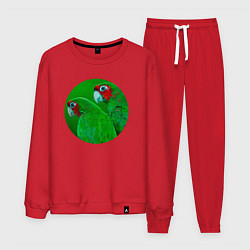 Костюм хлопковый мужской Два зелёных попугая, цвет: красный