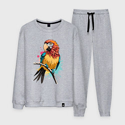 Костюм хлопковый мужской Акварельный попугай, цвет: меланж