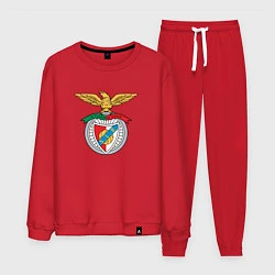 Костюм хлопковый мужской Benfica club, цвет: красный