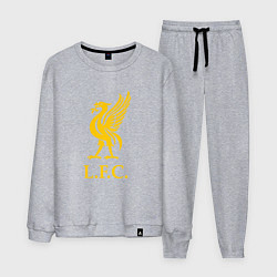 Мужской костюм Liverpool sport fc