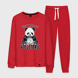 Костюм хлопковый мужской Panda volleyball, цвет: красный