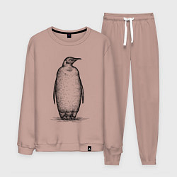 Костюм хлопковый мужской Пингвин стоит, цвет: пыльно-розовый