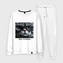 Мужской костюм Мем кот в очках: шерсть это приправа