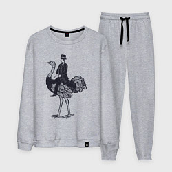 Костюм хлопковый мужской Страус и джентльмен, цвет: меланж