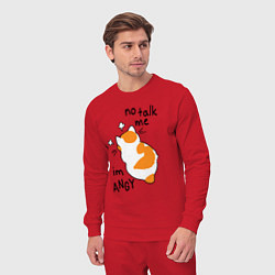 Костюм хлопковый мужской Не говори со мной - я злюсь, цвет: красный — фото 2