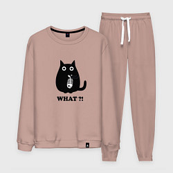 Костюм хлопковый мужской Кот и скелет рыбы, цвет: пыльно-розовый
