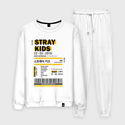 Мужской костюм Stray kids ticket