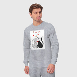 Костюм хлопковый мужской Любовь хвостатых, цвет: меланж — фото 2