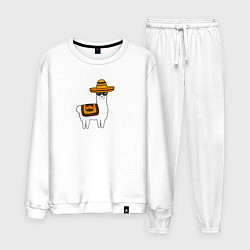 Мужской костюм Лама в Сомбреро мексиканская