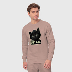 Костюм хлопковый мужской Кот в капюшоне, окак, мем, цвет: пыльно-розовый — фото 2