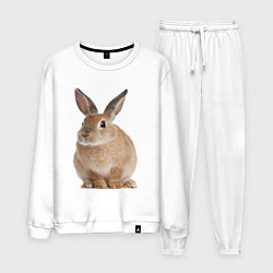 Костюм хлопковый мужской Бежевый кролик, цвет: белый