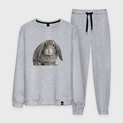 Костюм хлопковый мужской Серый пушистый кролик, цвет: меланж