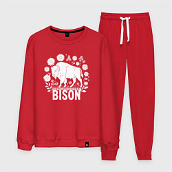 Костюм хлопковый мужской Бизон среди ромашек, цвет: красный