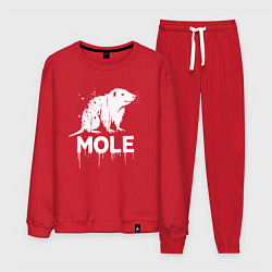 Костюм хлопковый мужской Крот в стиле белое граффити, цвет: красный