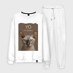 Мужской костюм Yo - Im Sphynx