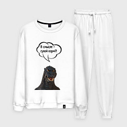 Костюм хлопковый мужской Не люблю сухой корм кот кошка, цвет: белый