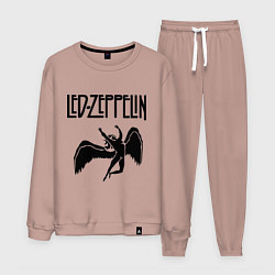 Костюм хлопковый мужской Led Zeppelin, цвет: пыльно-розовый