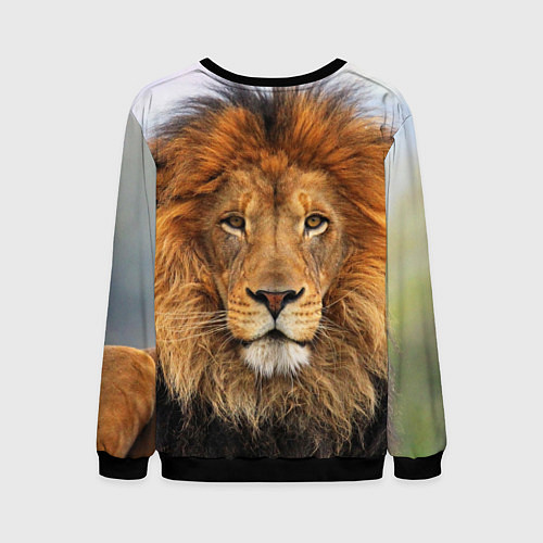 Мужской свитшот Красавец лев / 3D-Черный – фото 2