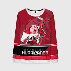 Мужской свитшот Carolina Hurricanes