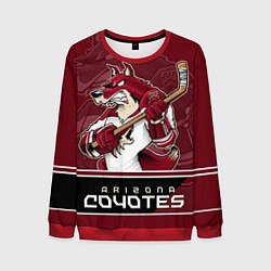 Мужской свитшот Arizona Coyotes