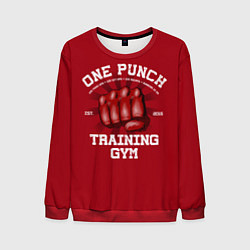 Мужской свитшот One Punch Gym