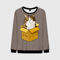 Свитшот мужской Котик в коробке, цвет: 3D-черный