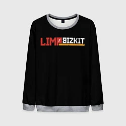 Мужской свитшот Limp Bizkit