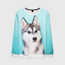 Свитшот мужской Blue, цвет: 3D-белый