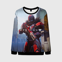 Мужской свитшот Destiny