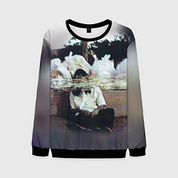 Свитшот мужской Bones Rap, цвет: 3D-черный