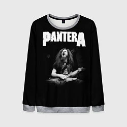 Мужской свитшот Pantera