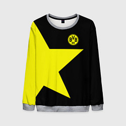 Свитшот мужской FC Borussia Dortmund: Star, цвет: 3D-меланж