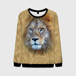 Мужской свитшот Песчаный лев