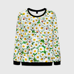 Свитшот мужской Полевые ромашки, цвет: 3D-черный