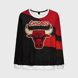 Свитшот мужской Chicago Bulls: Old Style, цвет: 3D-белый