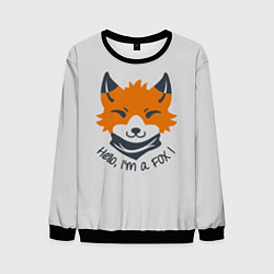 Мужской свитшот Hello Fox